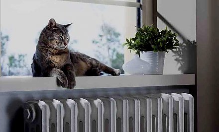 Отопительный сезон в Беларуси в 2023 году может начаться 1 октября