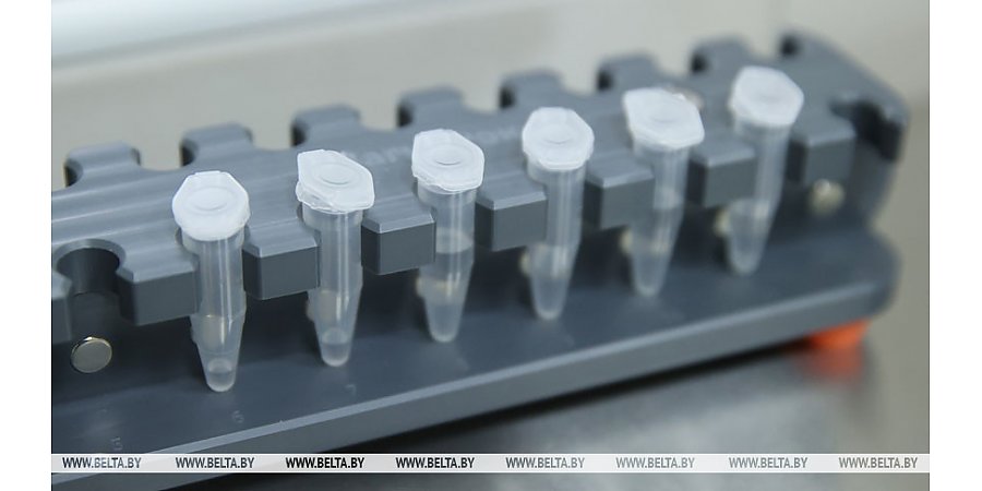 За сутки в Беларуси зарегистрированы 1467 пациентов с COVID-19, выписан 1431