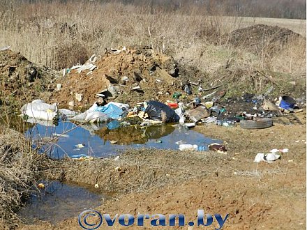 Чистота и уют — задача общая