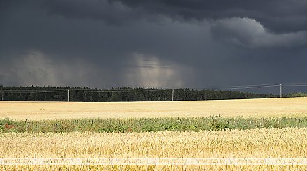 Оранжевый уровень опасности объявлен по северо-западу Беларуси во второй половине дня из-за гроз