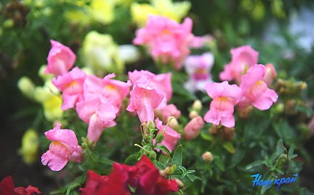 19 сентября в календаре: почему в Михайлов день запрещалось работать