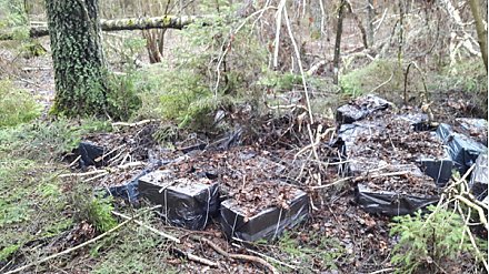 В Вороновском районе в лесу обнаружен схрон с сигаретами