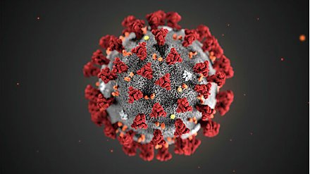 Китайские ученые обнаружили два подтипа коронавируса