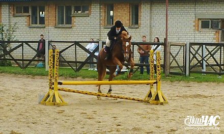 Фотофакт. В Волковыске проходит первенство Гродненской области по конному спорту