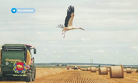 Гродненская область намолотила более 400 тысяч тонн зерна