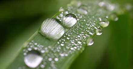 Республиканский экологический форум пройдет 7-8 июня в Новогрудке 12:24 25 Марта 2019