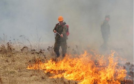 Не жгите траву, не жгите!