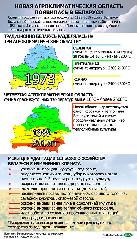 Новая агроклиматическая область появилась в Беларуси. Инфографика
