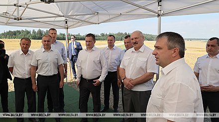 Лукашенко рассчитывает, что урожай в этом году составит 10,5 млн т зерна