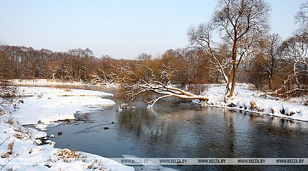 Гололедица и сильный ветер ожидаются в Беларуси 7 декабря