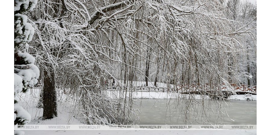 Гололедицу и до -26°С прогнозируют в Беларуси 7 января