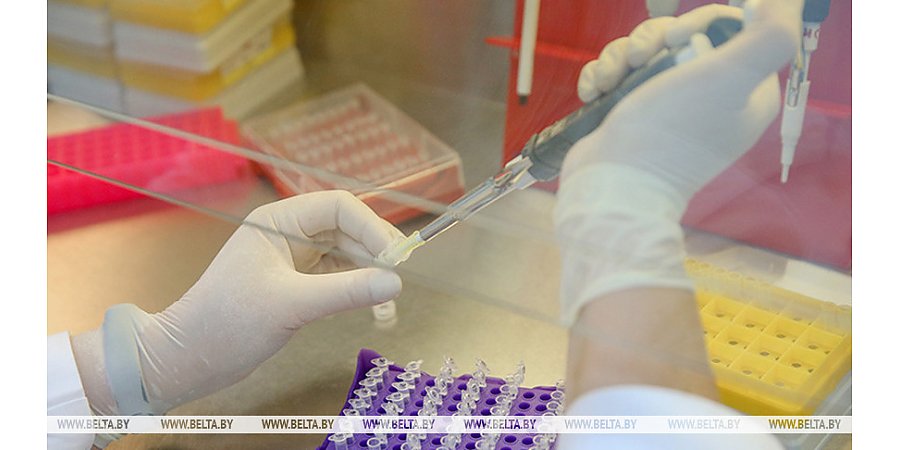 Вспышка лихорадки чикунгунья выявлена на юге Китая. Более 1,3 тыс. случаев зафиксировано за неделю