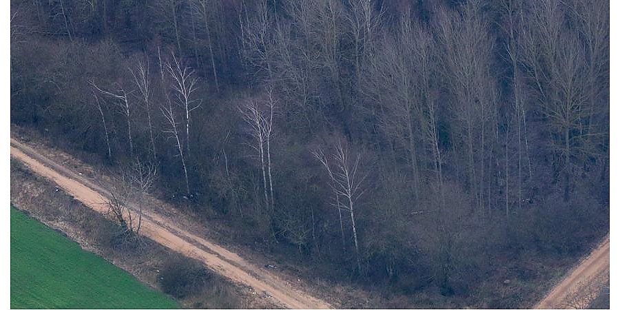 Литва начинает строить 100 км патрульной дороги вдоль границы с Беларусью