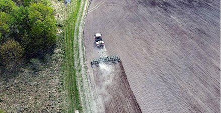 Ранние яровые в Беларуси посеяли почти на 89% площадей