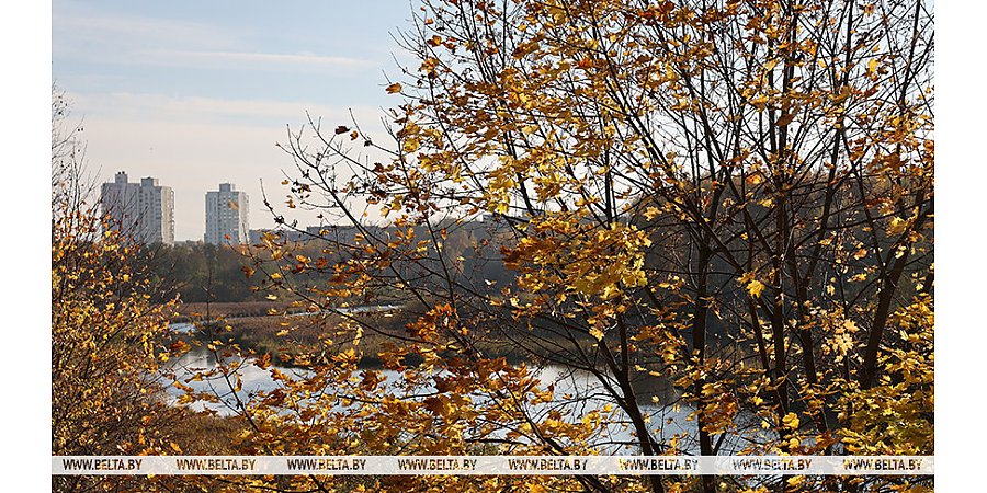 Облачно с прояснениями, до +17°С по юго-западу будет сегодня в Беларуси