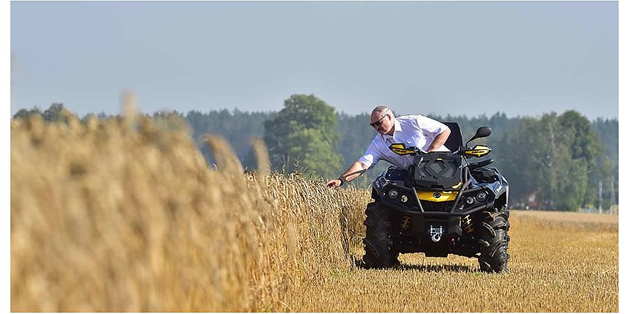 "На вес золота в наше время каждый колосок". Почему Александр Лукашенко требует бережного отношения к зерну