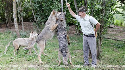 Французская компания планирует снять фильм о дикой природе Беларуси