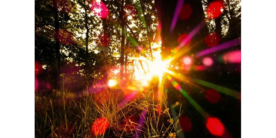 День летнего солнцестояния 2025: когда, значение, приметы