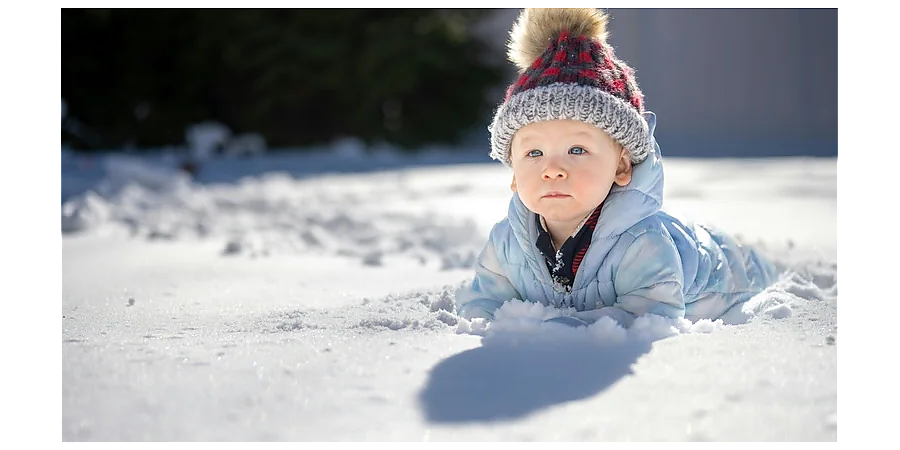 Устройте гадания в Сойкин день: народные приметы на 11 декабря 