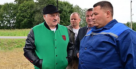 Александр Лукашенко вновь в полях, на этот раз на востоке. Главная тема – безотвальная обработка почвы