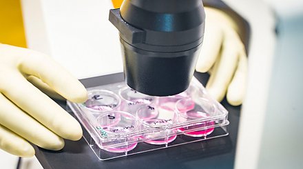 В России заявили об успешном завершении фазы клинических испытаний вакцины от COVID-19