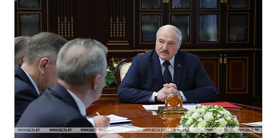 "Безответственность полнейшая". Александр Лукашенко высказал критику по поводу медленных темпов лесовосстановления в Беларуси