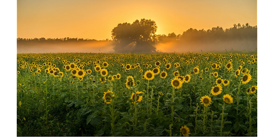 Народные приметы на 11 августа: что можно и нельзя делать в этот день