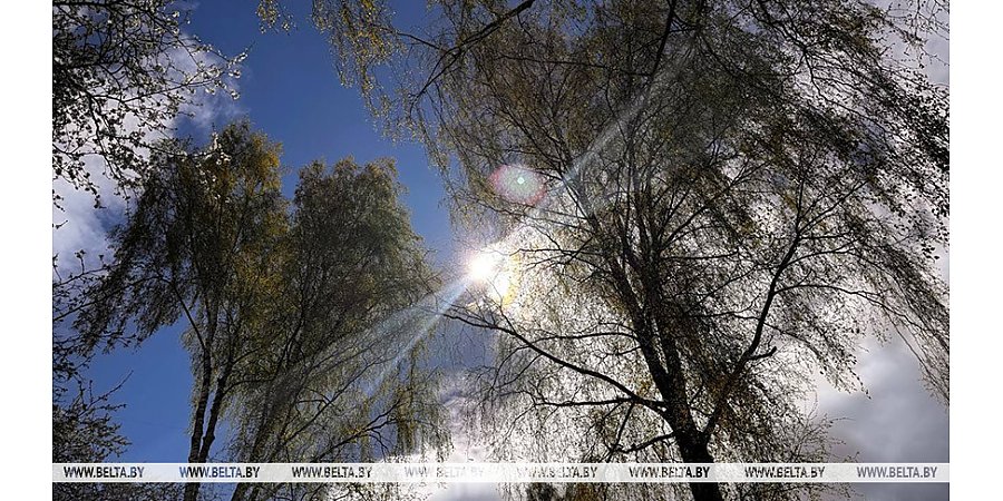 Теплый день с грозами. Какой будет погода в Беларуси сегодня