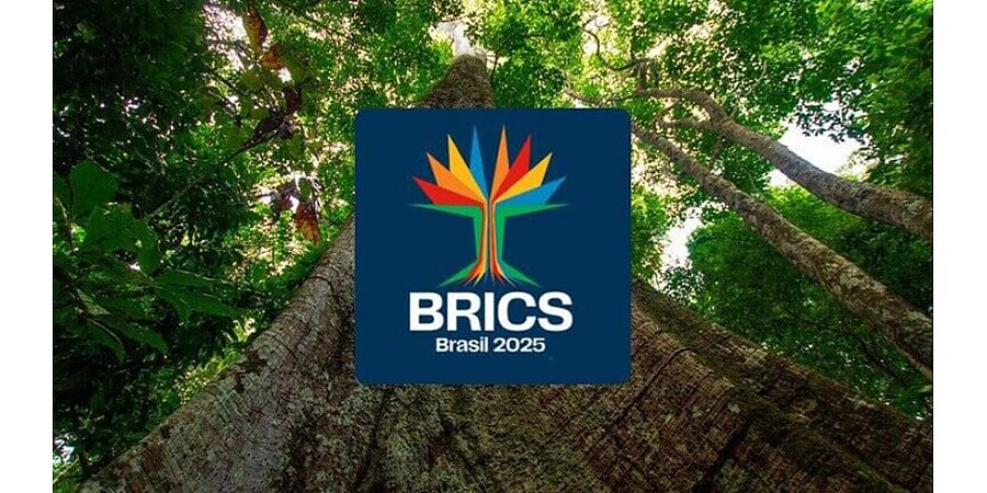 Подтверждены дата и место проведения саммита БРИКС