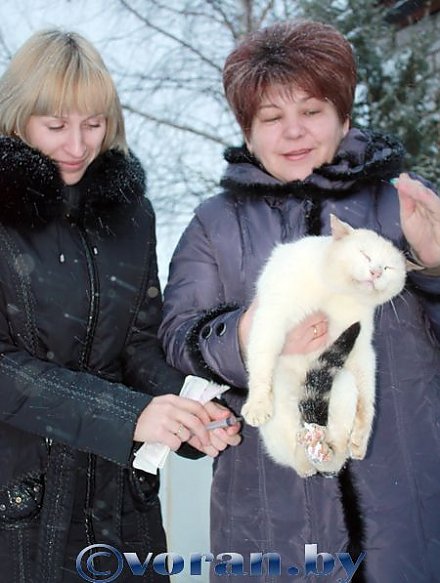 Братья меньшие, а заботы большие