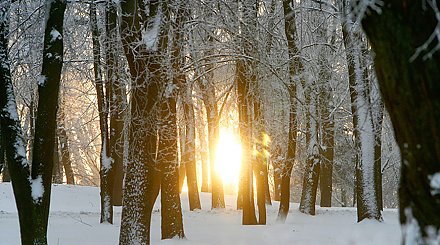 Плюсовые температуры днем? Какая погода будет сегодня в Беларуси videobel.by