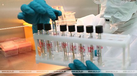 Пекинская форма коронавируса может оказаться заразнее выявленной в Ухане - вирусолог