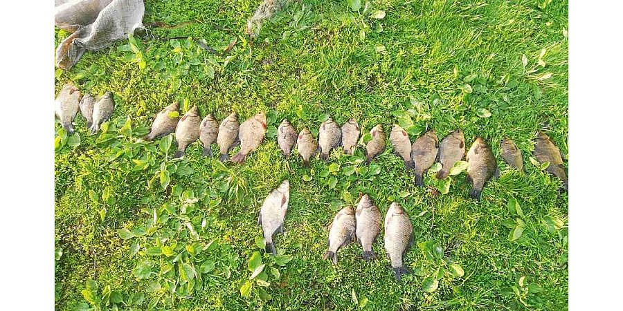 В Вороновском районе задержали браконьера-сеточника. Ему грозит тюрьма