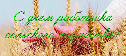 Поздравление Президента Республики Беларусь работникам сельского хозяйства  и перерабатывающей промышленности  агропромышленного комплекса