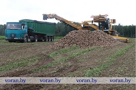 И юристы, и психологи…