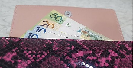 Минимальная заработная плата в Беларуси с 1 января вырастет на 14,7%