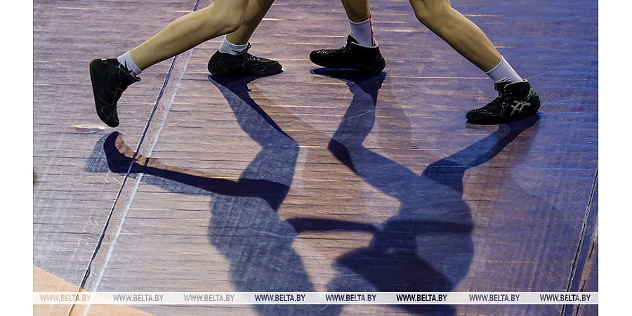 Белорусы завоевали 13 наград турнира по греко-римской борьбе в Сербии