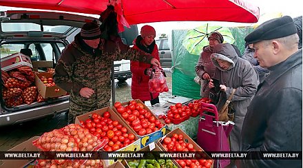 Овощи и фрукты в октябре в Беларуси подорожали, сахар и кофе подешевели