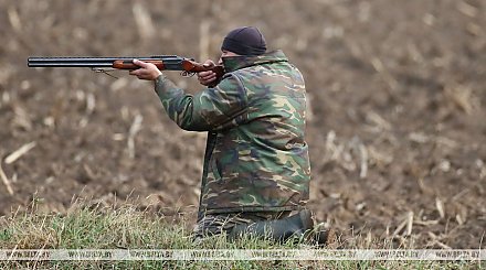 Сезон охоты на бекаса открывается 11 июля
