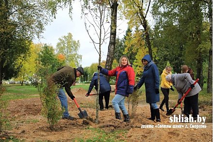 В Гродненской области к акции "Чистый лес" присоединились около 4 тысяч человек