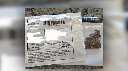 Жители Польши получают посылки с неизвестными семенами из Китая