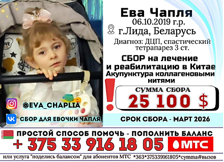 Помощь на лечение и реабилитацию Евы Чапля