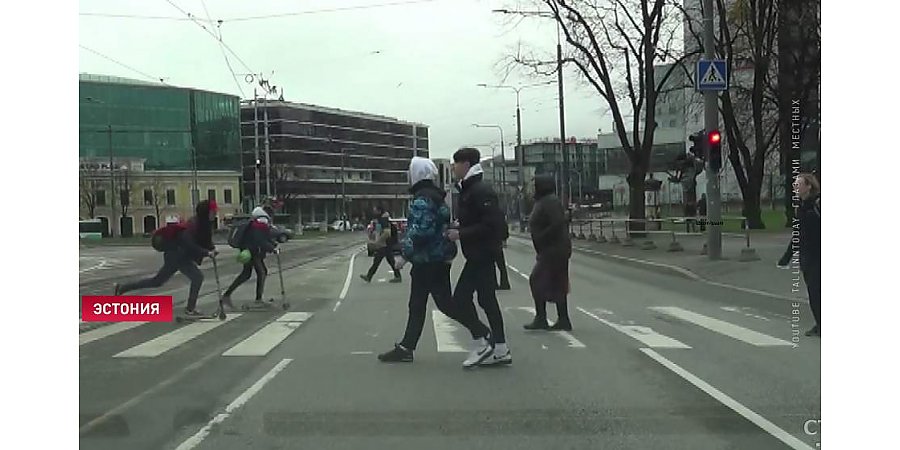 Штраф или постоять 45 минут на обочине. В Эстонии вводится необычное наказание для нарушителей ПДД (+видео)