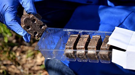 Вдоль границы с ЕС будут разбрасывать блистер-приманки с вакциной для диких животных