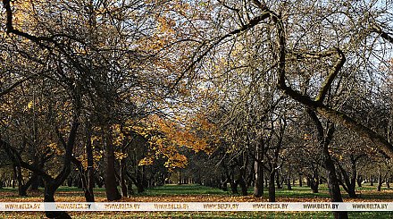 Облачно с прояснениями и до +12°С. Какой будет погода в Беларуси сегодня