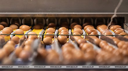 В Беларуси в январе-мае произвели сельхозпродукции на Br6,7 млрд