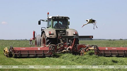Первый укос трав проведен в Беларуси почти на 90% площадей