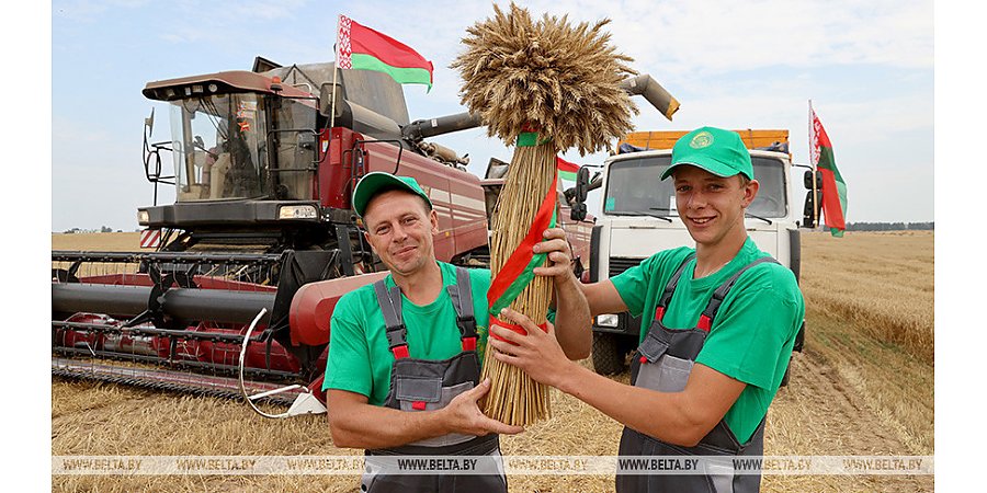 Любовь к родной земле и уважение к крестьянскому труду. Александр Лукашенко назвал фундаментальные для белорусов ценности