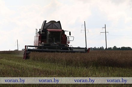 Лидеры жатвы в Вороновском районе