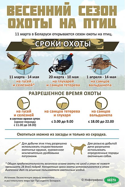 11 марта в Беларуси открыт весенний сезон охоты на птиц